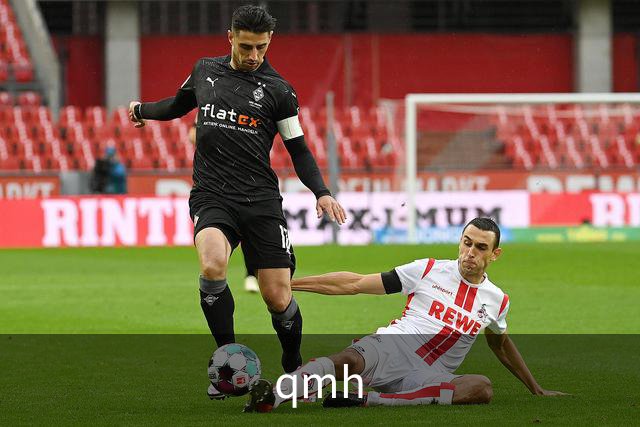 qmh公司简介